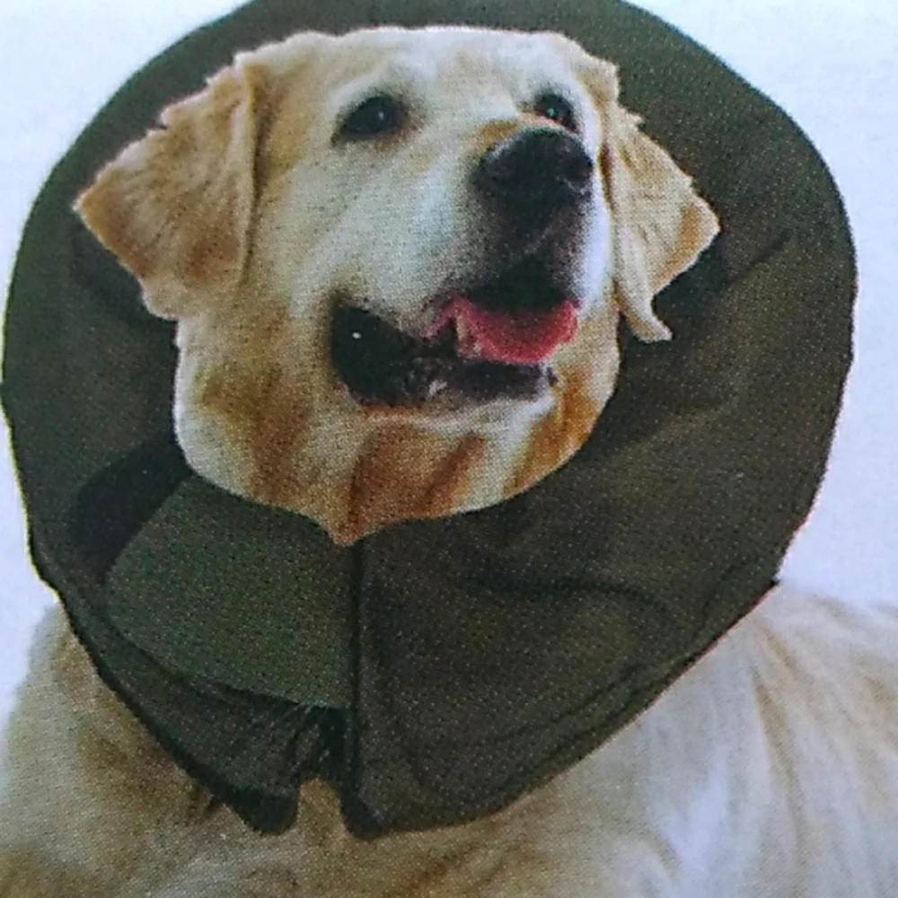 Protective Inflatable Dog Collar - Picture 1 of 4